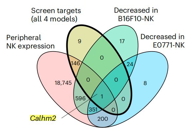 Nature子刊:陳斯迪葉露鵬團(tuán)隊(duì)利用體內(nèi)AAV-睡美人CRISPR篩選技術(shù)發(fā)現(xiàn)NK細(xì)胞癌癥免疫治療新靶點(diǎn)(圖3)