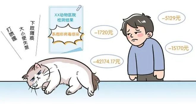 3萬買貓后續(xù)治療費(fèi)6萬法院判了！(圖3)
