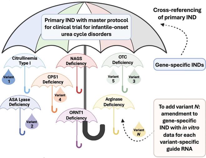 美國(guó)基因編輯療法邁入“快車道”為罕見(jiàn)病定制藥研發(fā)開綠燈(圖2)