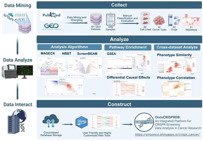 腫瘤CRISPRScreen在線平臺(tái)！重磅推薦！(圖3)